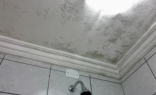 Serviços prediais